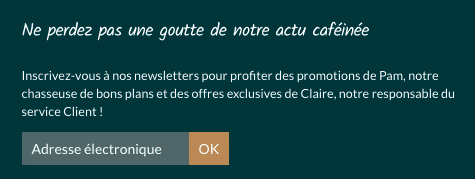 fenêtre pop-up d'une inscrit à une newsletter